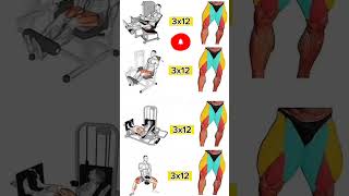 4 Best Leg Exercises You Can Do at Home30Minute Leg Workout for Killer Home Leg Gains [upl. by Oiratno47]