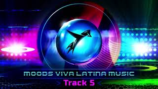 Viva LatinaTrack 5 The Best Latin Electronic Rhythms [upl. by Yelrac]