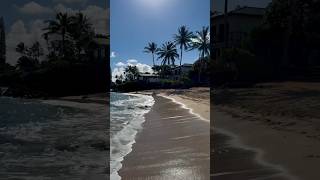 📍Tavares Bay Beach 🏖️ Paia Maui Hawaii 🌺 beachwalker [upl. by Ilrebmik695]