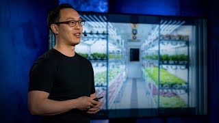 Are indoor vertical farms the future of agriculture  Stuart Oda [upl. by Ienttirb]