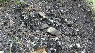 Indian Mound at Lower Wekiva Preserve [upl. by Goober]