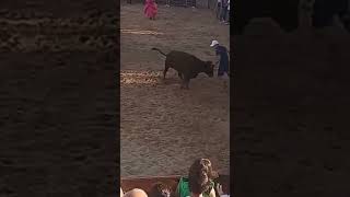 quot¡El Chipu Domando a la Vaquilla en la Plaza Ni el Cordobés se Atrevió a Tanto🐂😮🔥quot toros bravos [upl. by Nilyac]