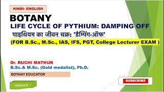 Pythium Life Cycle  Damping Off​  Fungi  Botany  B Sc amp M Sc ENGLISH  HINDI [upl. by Elysia]