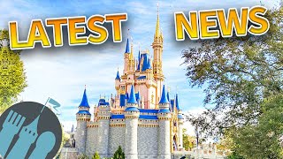 Latest Disney News Ride Vehicle Testing New Permits amp MORE [upl. by Karissa]