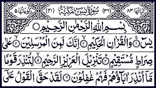 Surah Yasin Yaseen  Full With Arabic  Beautiful recitation  یس سورہ [upl. by Carleton]