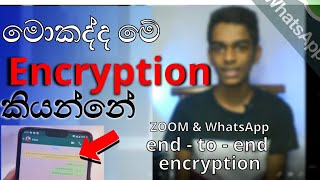 Encryption explain in sinhala  Osheen Tech [upl. by Haldas]