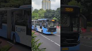 Transjakarta Scania K320IA passing by [upl. by Island678]