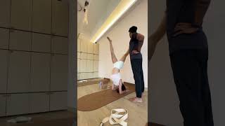 How to practice forearm stand with wall support Whole process through jump amp for stability [upl. by Linkoski]