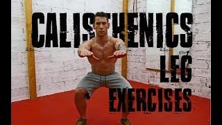 CALISTHENICS LEG EXERCISES  NO EQUIPMENT  BODYWEIGHT [upl. by Joshuah]