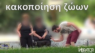 Κακοποίηση Ζώων social experiment [upl. by Anidal252]