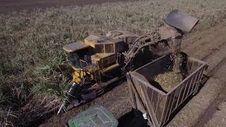 Cameco CH2600 2Row Sugarcane Harvester 4K [upl. by Asserak]