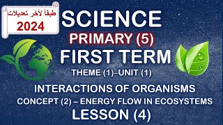 Primary 5 \ Science 2024 1st term\ Unit 1  Concept 24  record evidence like a scientist [upl. by Eciryt]