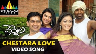 Vennela Video Songs  Chestara Love Video Song  Raja Parvati Melton  Sri Balaji Video [upl. by Kcub]