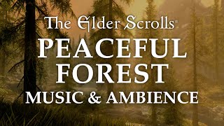 The Elder Scrolls Music amp Ambience  Peaceful Forest 5 Beautiful Scenes with Calm Music Mix 6 Hrs [upl. by Harim]