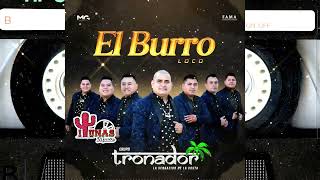 Grupo Tronador  El Burro Loco Album Completo [upl. by Ocsic800]