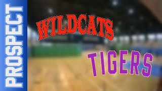 06 01 Wildcats vs Tigers – Prospect Div Zima 2023 24 [upl. by Malony965]