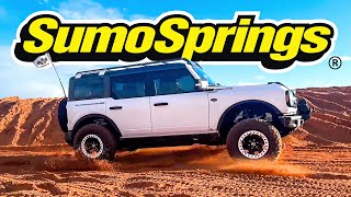 FORD BRONCO MEET SUMOSPRINGS SSR14840 [upl. by Marduk881]