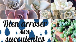 🚿 Bien arroser ses plantes succulentes  ARROSAGE PLANTES SUCCULENTES [upl. by Enovi]