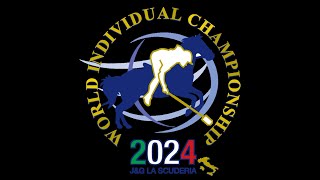 Mounted Games World Individual Champion 2024 Recap [upl. by Adnaugal]