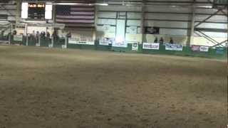 Team Roping Ranch Rodeo style [upl. by Hesky996]