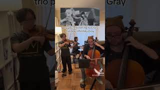 Infinitely Gray  すりぃ  Piano Trio cover colorfulstage pjsk プロセカ violin cello piano music [upl. by Kylander331]