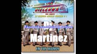 Los Rieleros Del Norte CD 2014 Mix Intro  Dj Martinez [upl. by Dido163]