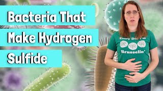 Bacteria That Make Hydrogen Sulfide H2S [upl. by Kurys532]