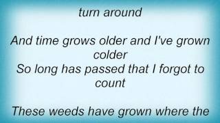 Life Of Agony  Weeds Lyrics [upl. by Friedlander]