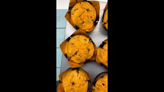 MUFFIN ZUCCA e CIOCCOLATO soffici è dir poco😍 Shorts [upl. by Charlot]