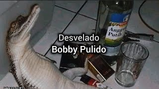 Desvelado  Bobby PulidoLetra [upl. by Aniled522]