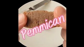 Pemmican [upl. by Danialah]