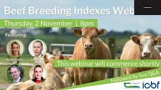 Beef Breeding Indexes Webinar [upl. by Trixi]