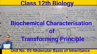 Biochemical Characterisation of Transforming Principle Class 12th Biologydrnyr755 [upl. by Ethyl]