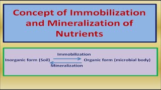 Concept of Immobilization and Mineralization of Nutrients [upl. by Paik]