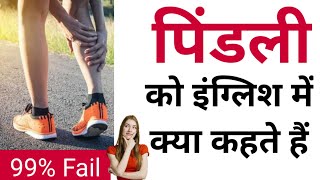 पिंडली को इंग्लिश में क्या कहते हैं  Pindli Ko english mein kya kahate hain  Pindli in english [upl. by Saretta]