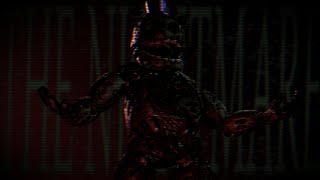 DSaF The Nightmare [upl. by Eeliab]