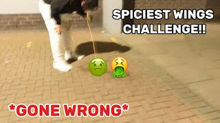 EATING THE MOST SPICIEST WINGSGONE VERY WRONG [upl. by Zetroc]