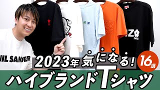 【バズりTシャツ16選】2023春夏に買うべきブランドTシャツを徹底レビュー！ネットでTシャツを買う時のサイズ選びのコツ、Tシャツの素材感、白Tの透け感など詳しく検証 バイマ購入品紹介 [upl. by Gyimah]