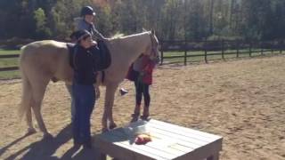 Hippotherapy  Horses for OT and Autism [upl. by Waldner]