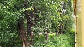 Nilambur Road to Shoranur Monsoon Journey Compilation  Beautiful Train Route with Greenery  WDP4D [upl. by Eki]