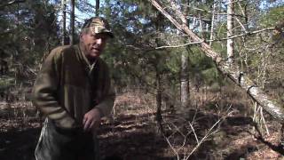 Retriever Training Finding Birds in Deep Woods [upl. by Joleen]