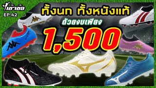 เข้าข้อ EP42 งบ 1500 จะซื้อสตั๊ดอะไรดี  ได้ทั้งนก ทั้งหนังแท้ [upl. by Dempster]