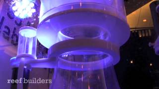 RLSS DB10i Protein Skimmer in Action [upl. by Goldina]