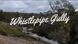 Whistlepipe Gully Walk Kalamunda [upl. by Warrin9]