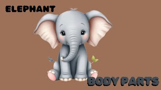 Body Parts of Elephant JOJO KIDS [upl. by O'Toole]