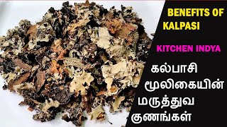 kalpasi benefits  கல்பாசி மூலிகையின் மருத்துவ குணங்கள்  health benefits of Parmotrema perlatum [upl. by Ecinad875]