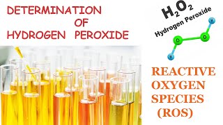 Determination of Hydrogen peroxide  H2O2  Reactive Oxygen Species ROS  Learning Technique [upl. by Asset871]