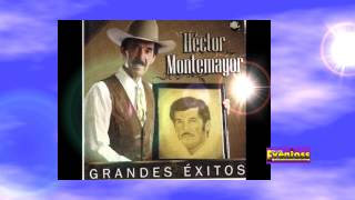 HECTOR MONTEMAYOR  TU LO QUISISTE [upl. by Eppesiug]