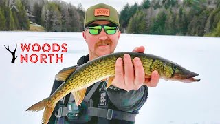 WERE BACK First Ice Fishing 2024  Small Pond BIG Teeth [upl. by Bacon]