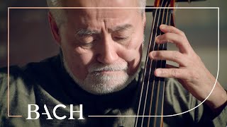 Bach  Cello Suite no 5 in C minor BWV 1011  Suzuki  Netherlands Bach Society [upl. by Rintoul]